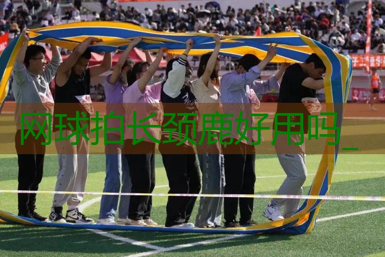 网球拍长颈鹿好用吗_