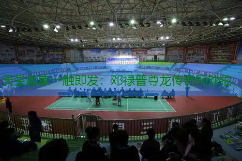邓禄普尊龙传奇网球拍