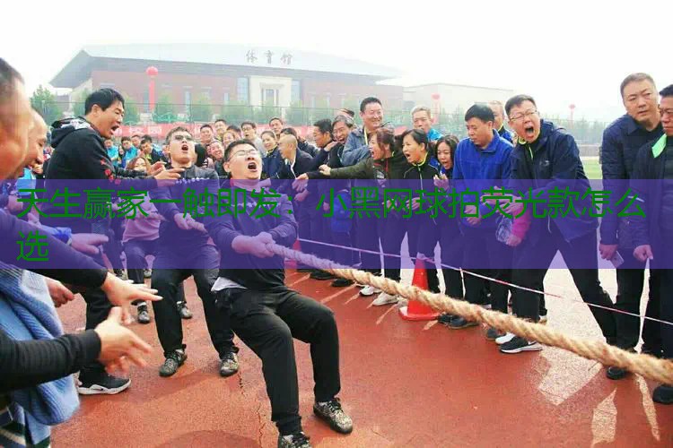 小黑网球拍荧光款怎么选