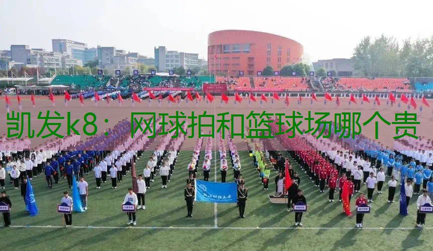 网球拍和篮球场哪个贵
