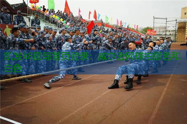 威尔逊网球拍黑色和白色