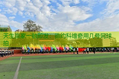 德约科维奇用几号网球拍