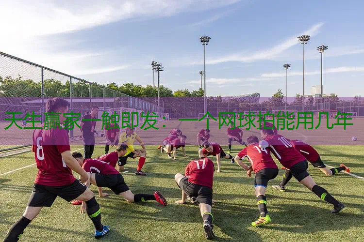 一个网球拍能用几年
