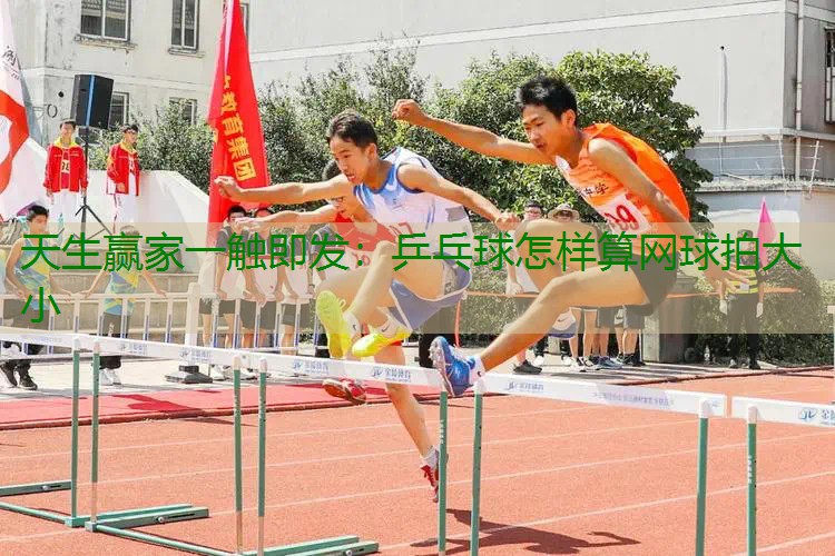 乒乓球怎样算网球拍大小