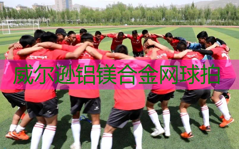 威尔逊铝镁合金网球拍
