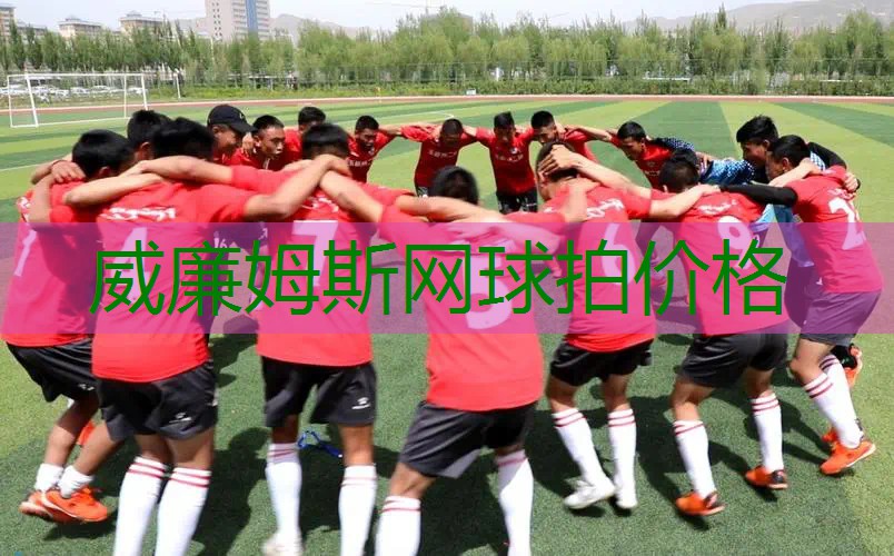 威廉姆斯网球拍价格