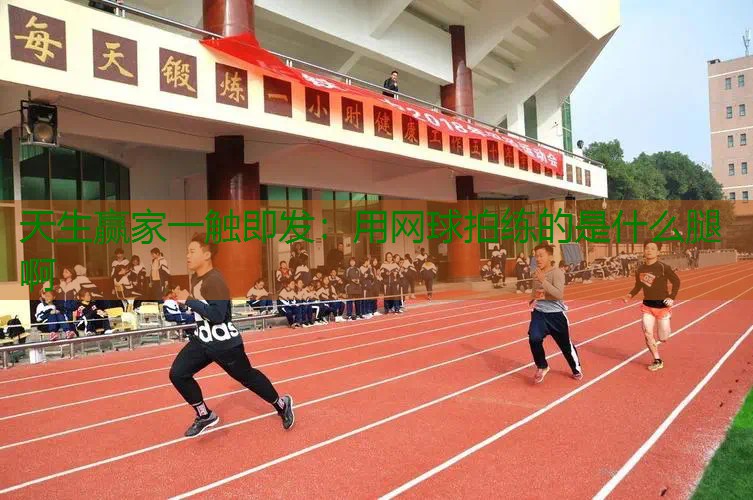 用网球拍练的是什么腿啊