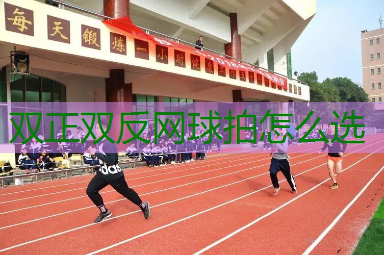 双正双反网球拍怎么选