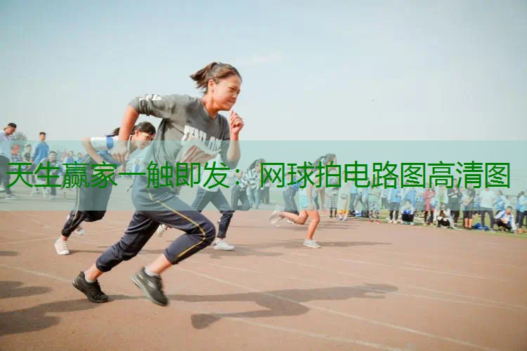 网球拍电路图高清图