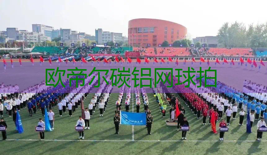 欧帝尔碳铝网球拍