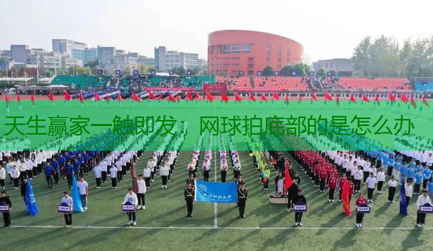 网球拍底部的是怎么办