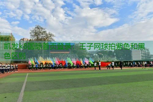 王子网球拍紫色和黑色区别