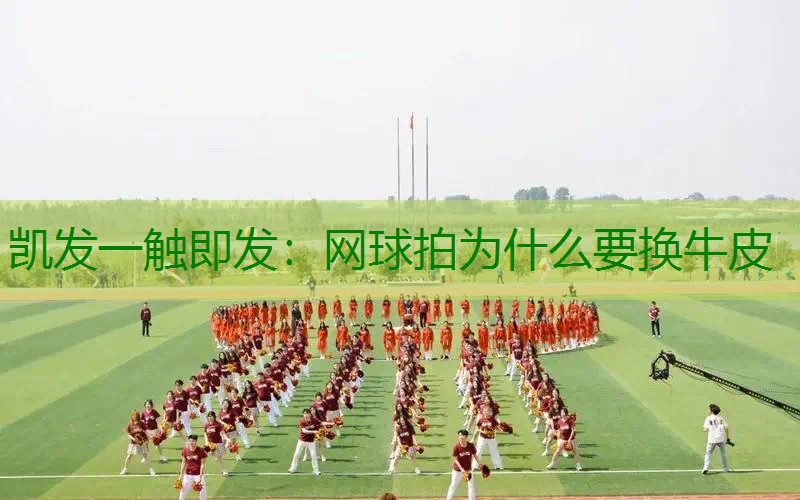 网球拍为什么要换牛皮