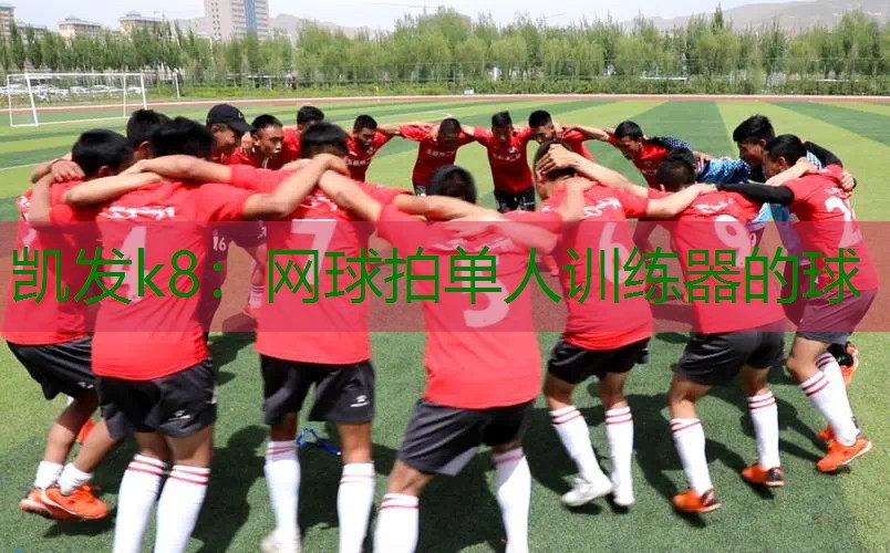 网球拍单人训练器的球