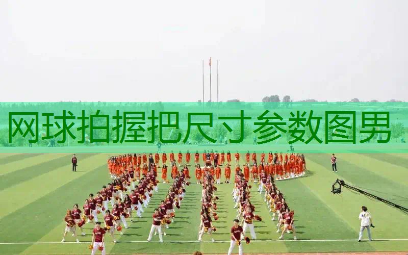 网球拍握把尺寸参数图男