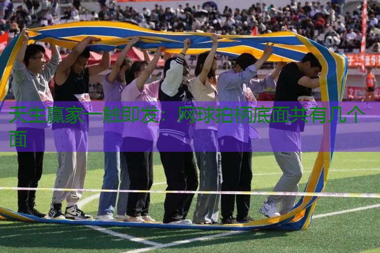 网球拍柄底面共有几个面