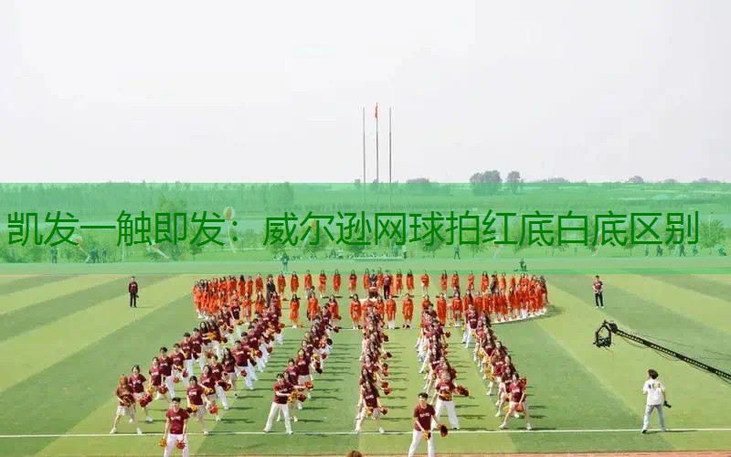 威尔逊网球拍红底白底区别