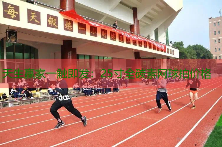 25寸全碳素网球拍价格