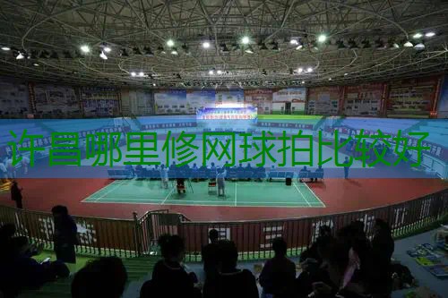 许昌哪里修网球拍比较好