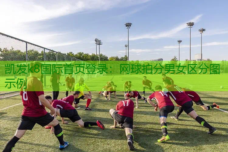 网球拍分男女区分图示例