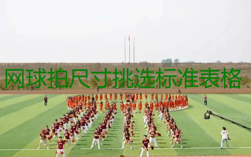 网球拍尺寸挑选标准表格