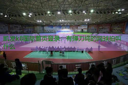 有弹力绳的网球拍叫什么