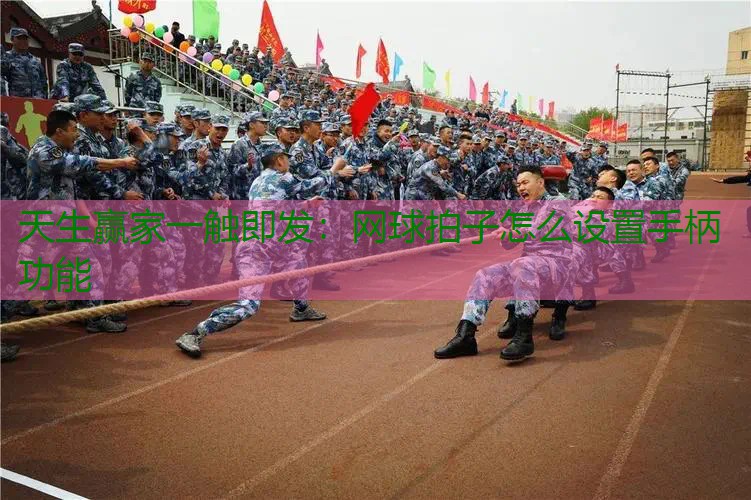 网球拍子怎么设置手柄功能