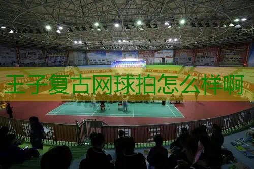王子复古网球拍怎么样啊