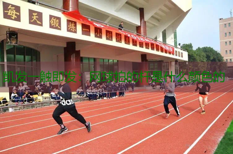 网球拍的杆是什么颜色的