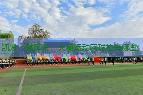 大童运动网球拍有哪些
