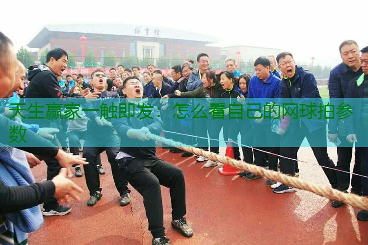 怎么看自己的网球拍参数