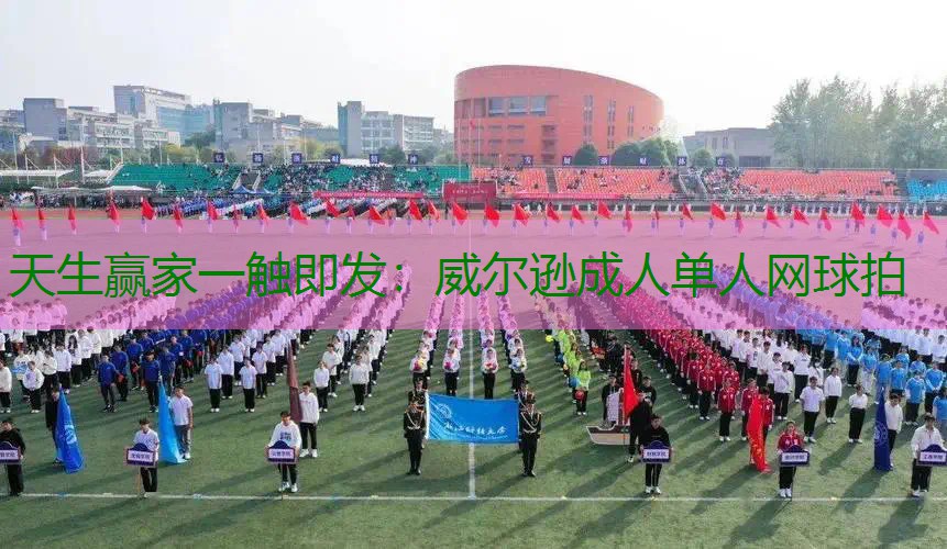 威尔逊成人单人网球拍