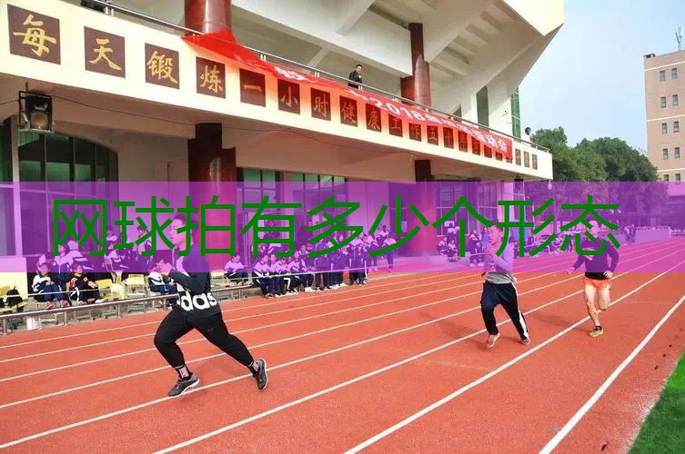 网球拍有多少个形态
