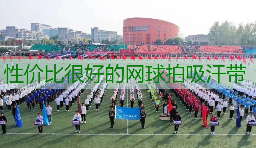 性价比很好的网球拍吸汗带