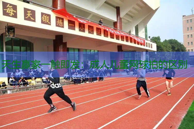 成人儿童网球拍的区别