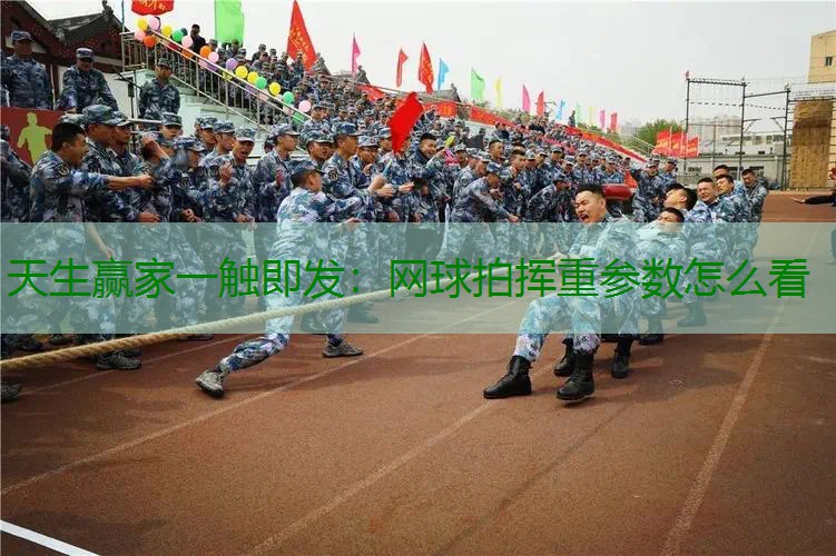 网球拍挥重参数怎么看