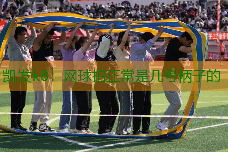 网球拍正常是几号柄子的
