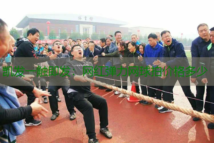 网红弹力网球拍价格多少