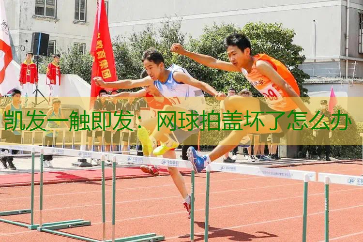 网球拍盖坏了怎么办