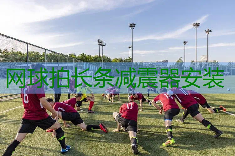 网球拍长条减震器安装