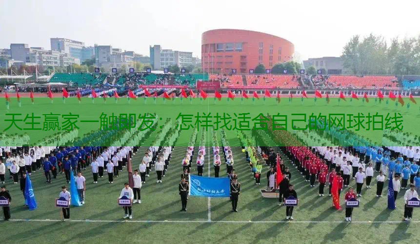怎样找适合自己的网球拍线