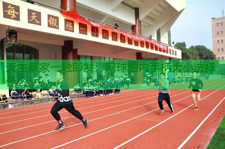 网球拍内手柄大小选择什么