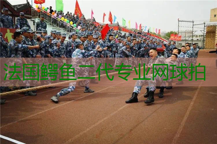 法国鳄鱼二代专业网球拍