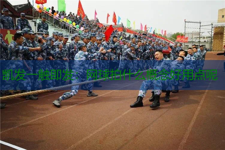 网球拍什么概念好用点呢