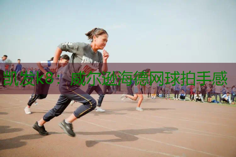 威尔逊海德网球拍手感
