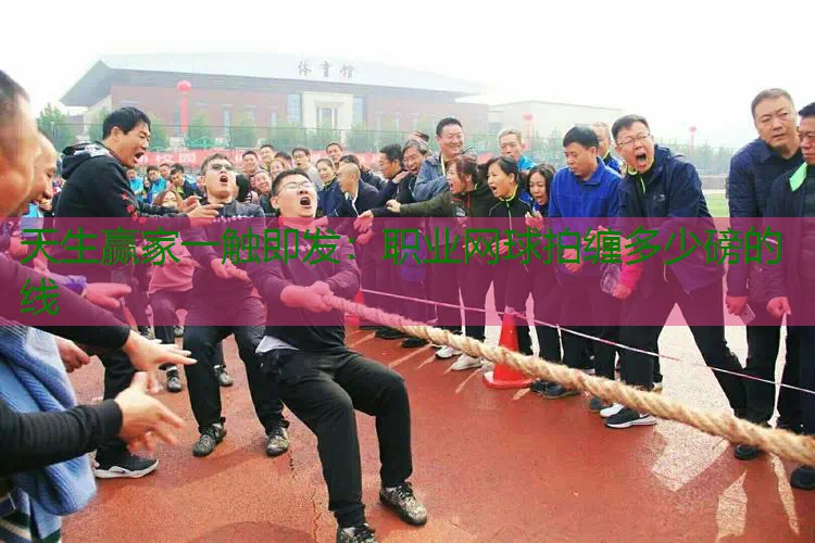 职业网球拍缠多少磅的线