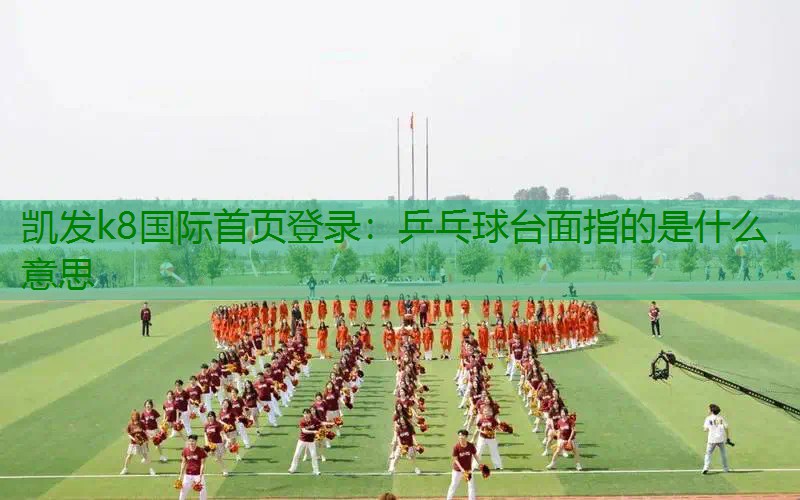 乒乓球台面指的是什么意思