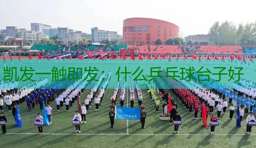 什么乒乓球台子好