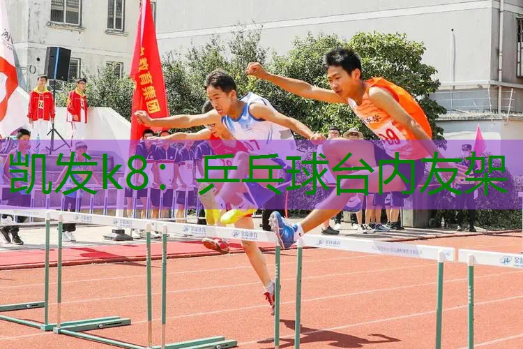 乒乓球台内友架