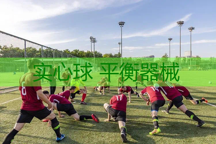 实心球 平衡器械